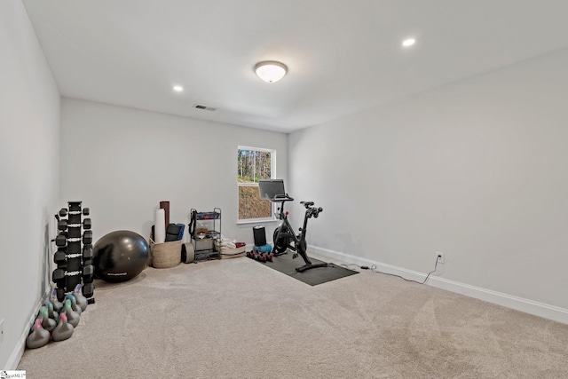 exercise area featuring carpet floors