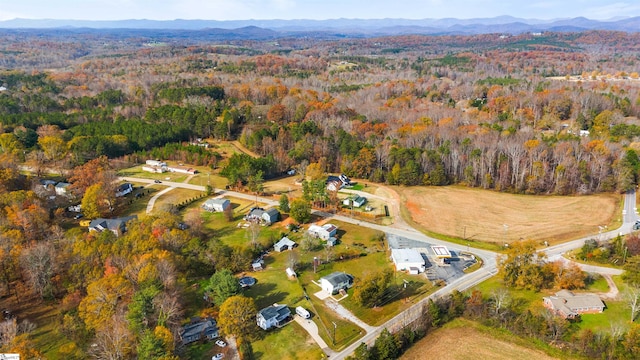 bird's eye view with a mountain view