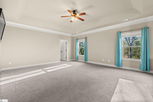 carpeted empty room with a raised ceiling, plenty of natural light, and ceiling fan