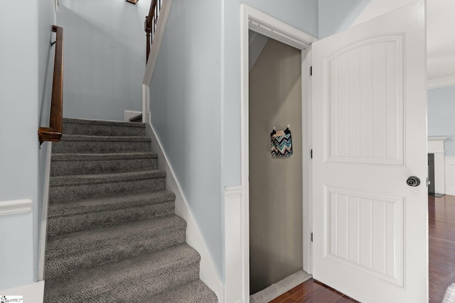 stairway with wood-type flooring