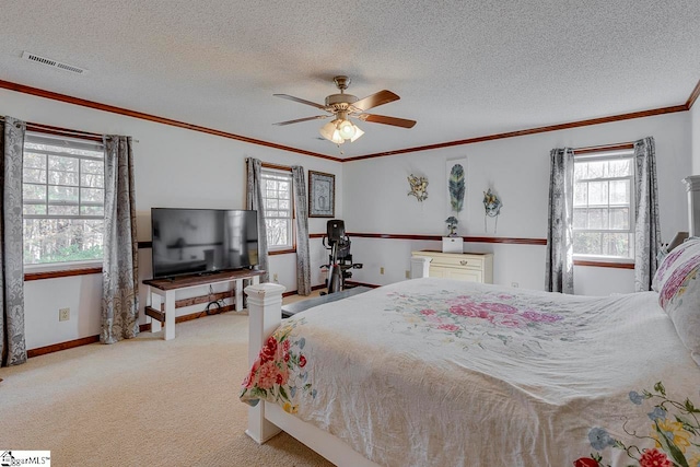 carpeted bedroom with ceiling fan, a textured ceiling, and multiple windows