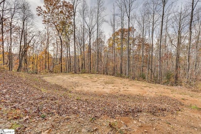 view of local wilderness