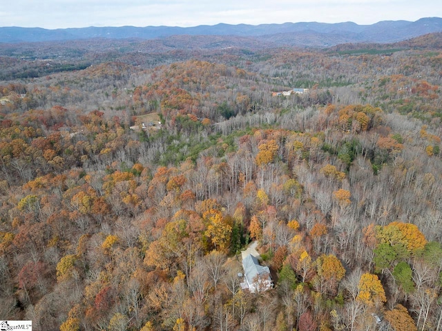 birds eye view of property featuring a mountain view