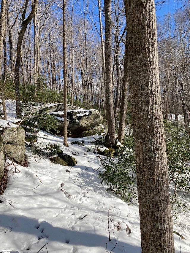 view of snow covered land