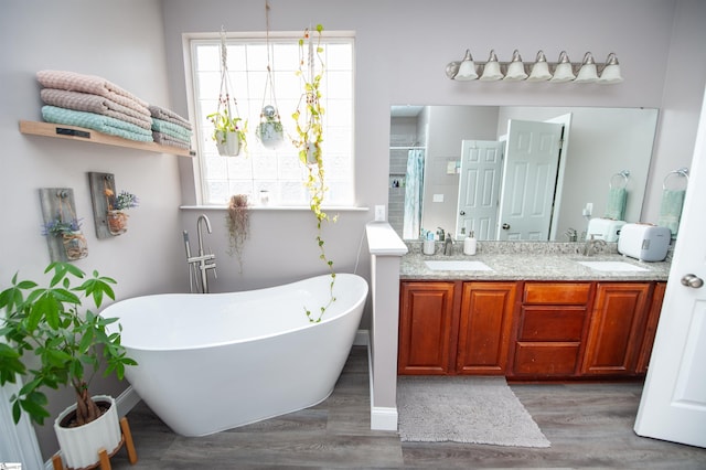 bathroom with plus walk in shower, vanity, and hardwood / wood-style flooring