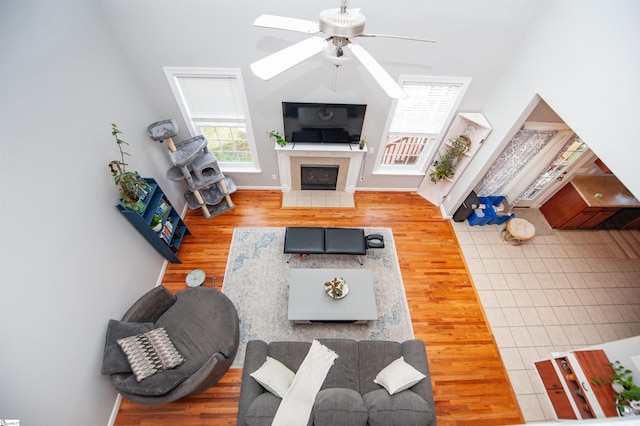 living room featuring ceiling fan, a fireplace, and light hardwood / wood-style floors