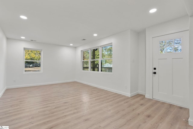 foyer featuring light hardwood / wood-style floors and a healthy amount of sunlight