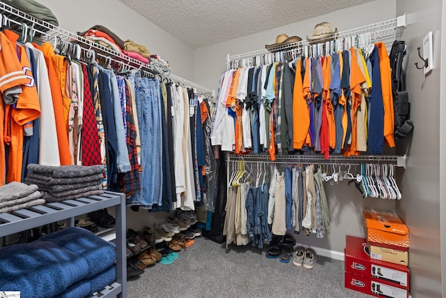 spacious closet featuring carpet floors