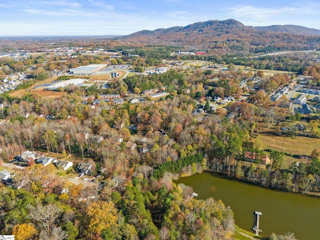 birds eye view of property featuring a water and mountain view