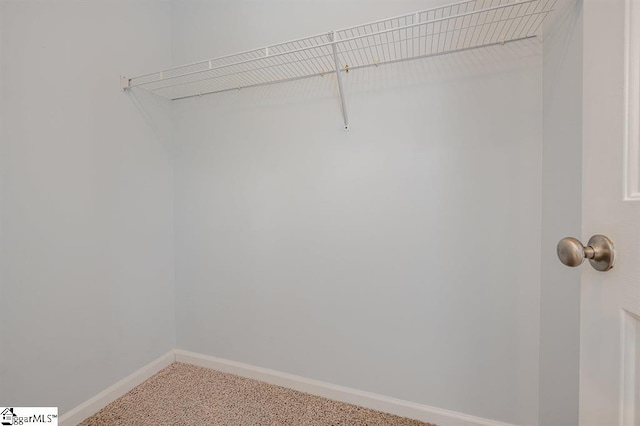 walk in closet with carpet