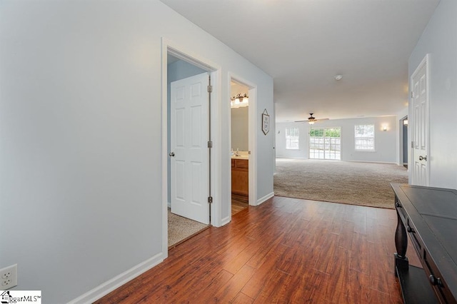 hallway featuring dark hardwood / wood-style flooring