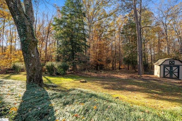 view of yard featuring a shed