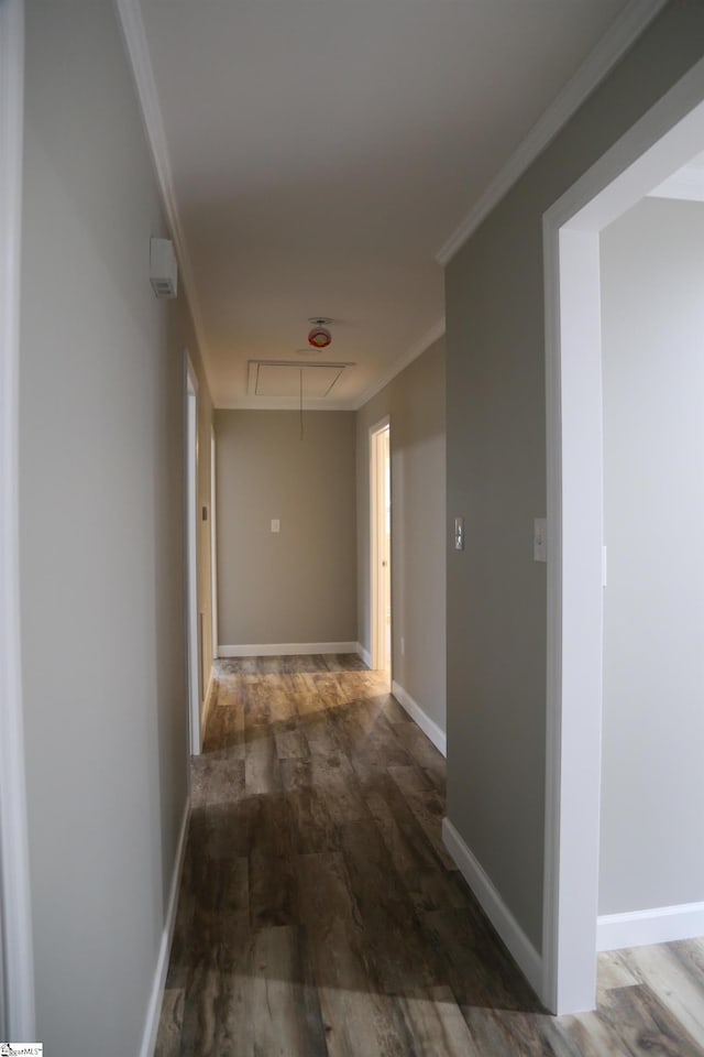 corridor with crown molding and dark wood-type flooring