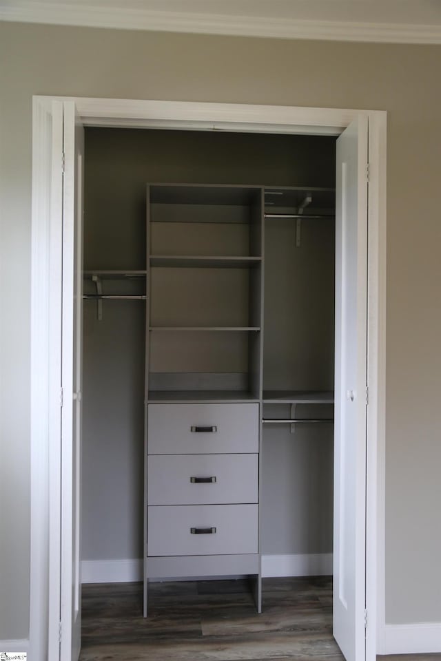 view of closet