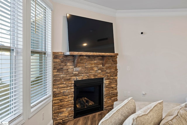 room details with a fireplace and crown molding