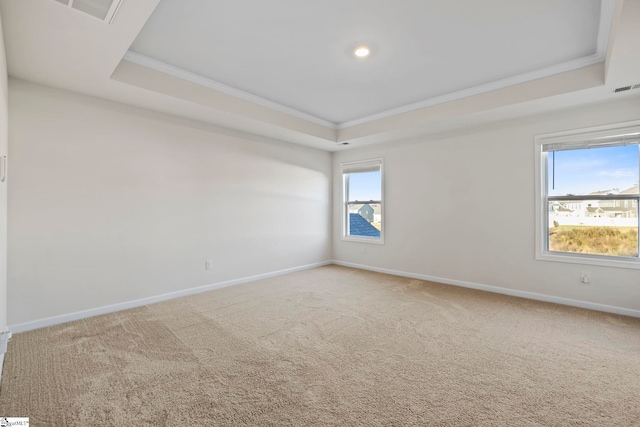 empty room featuring a tray ceiling, a wealth of natural light, and crown molding