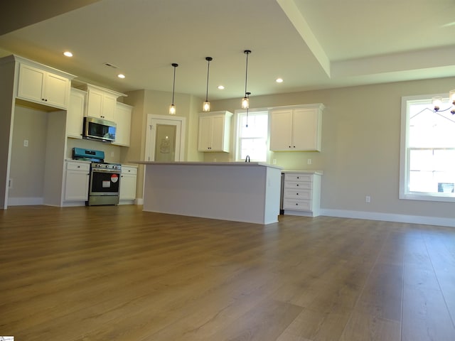 130 Babb Rd, Campobello, SC 29322 - kitchen with stainless steel appliances, white cabinetry, wood finished floors, recessed lighting, and decorative light fixtures