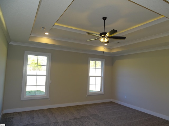 130 Babb Rd, Campobello, SC 29322 - spare room with a tray ceiling, crown molding, carpet flooring, a ceiling fan, and baseboards