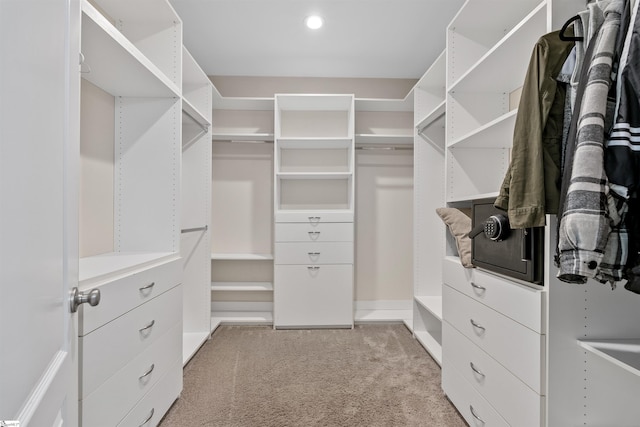 spacious closet with light colored carpet