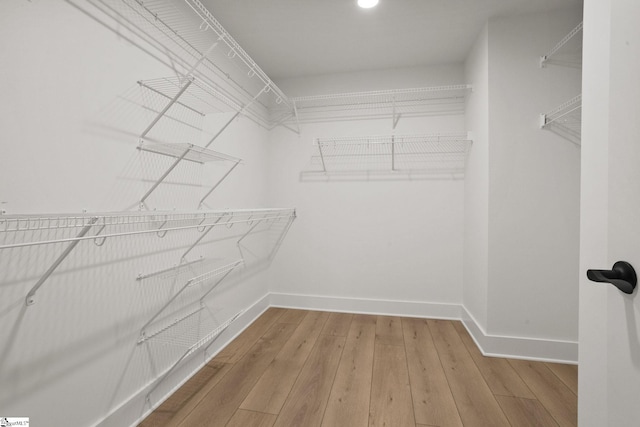 walk in closet with hardwood / wood-style floors