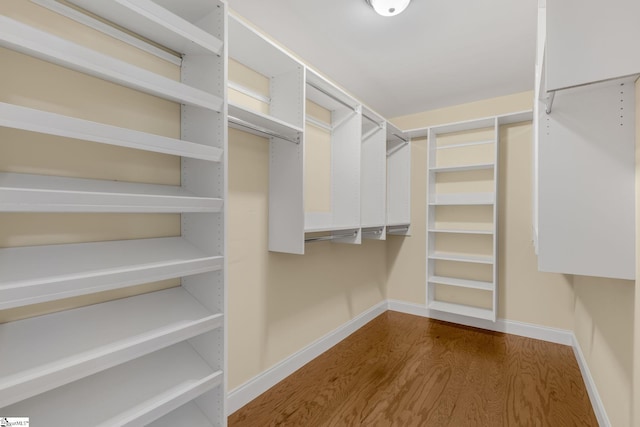 spacious closet with hardwood / wood-style floors