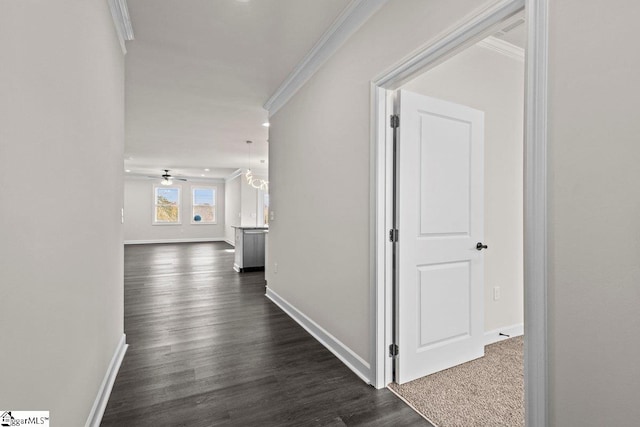 corridor with dark hardwood / wood-style flooring and crown molding