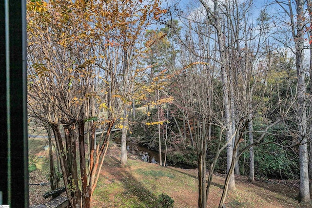 view of yard featuring a water view