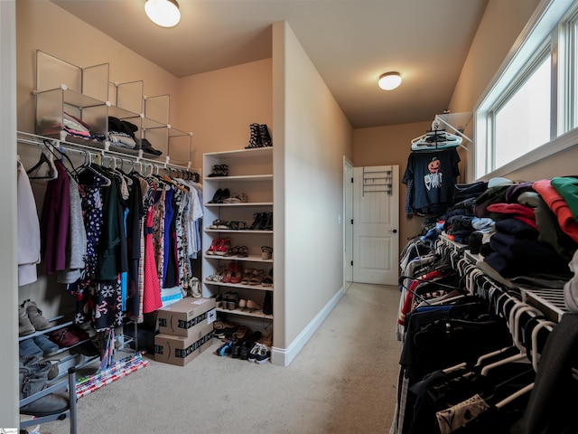 spacious closet with carpet