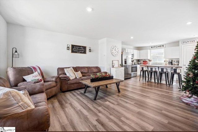 living room with light wood-type flooring