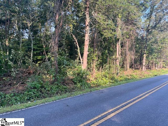 Listing photo 3 for TBD Melvin Hill Rd, Columbus NC 28722