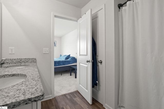 bathroom with wood-type flooring and vanity