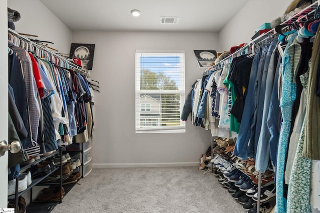 walk in closet featuring carpet flooring