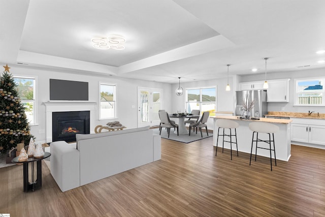 living room featuring dark hardwood / wood-style floors, a raised ceiling, and plenty of natural light