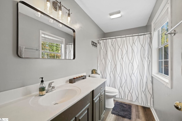 bathroom with hardwood / wood-style floors, vanity, a healthy amount of sunlight, and toilet