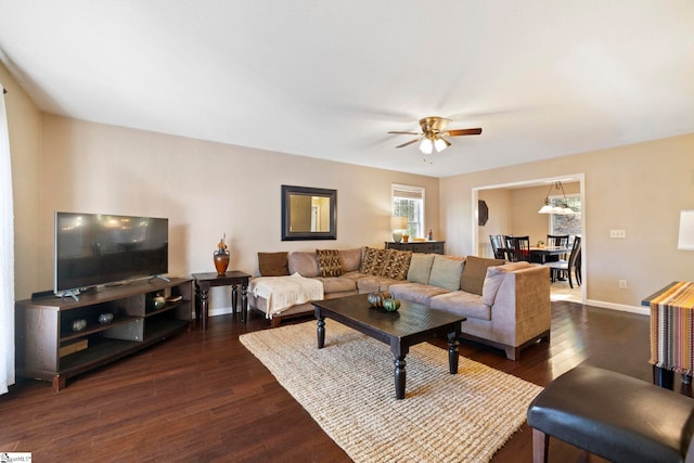 living room with ceiling fan and dark wood-type flooring