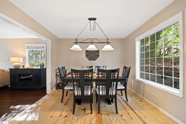 dining space featuring wood-type flooring