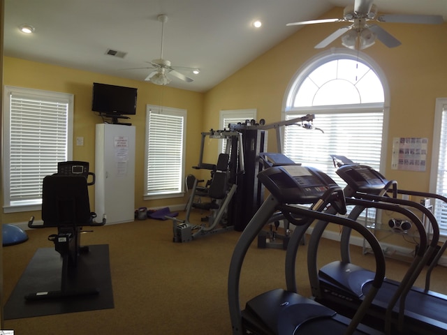 exercise room featuring carpet, ceiling fan, and vaulted ceiling