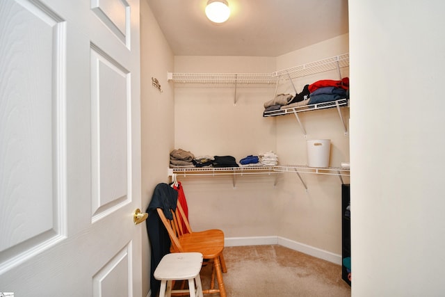 spacious closet featuring carpet floors