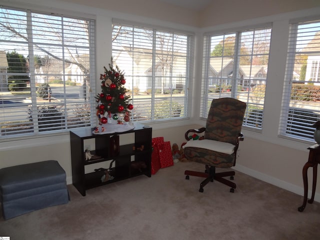 living area with carpet flooring and a wealth of natural light