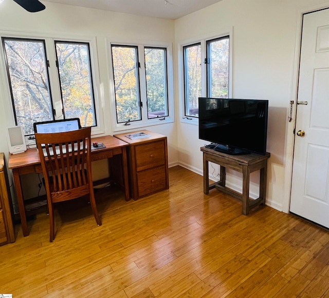 office with plenty of natural light and light hardwood / wood-style floors