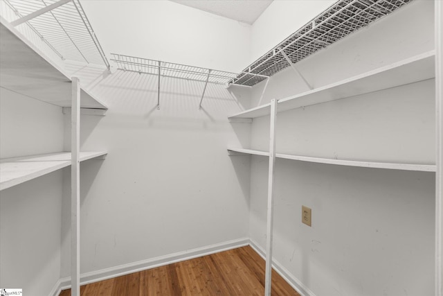 spacious closet featuring wood-type flooring