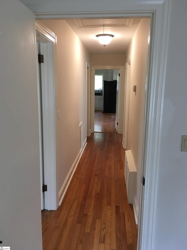 corridor with sink and dark wood-type flooring