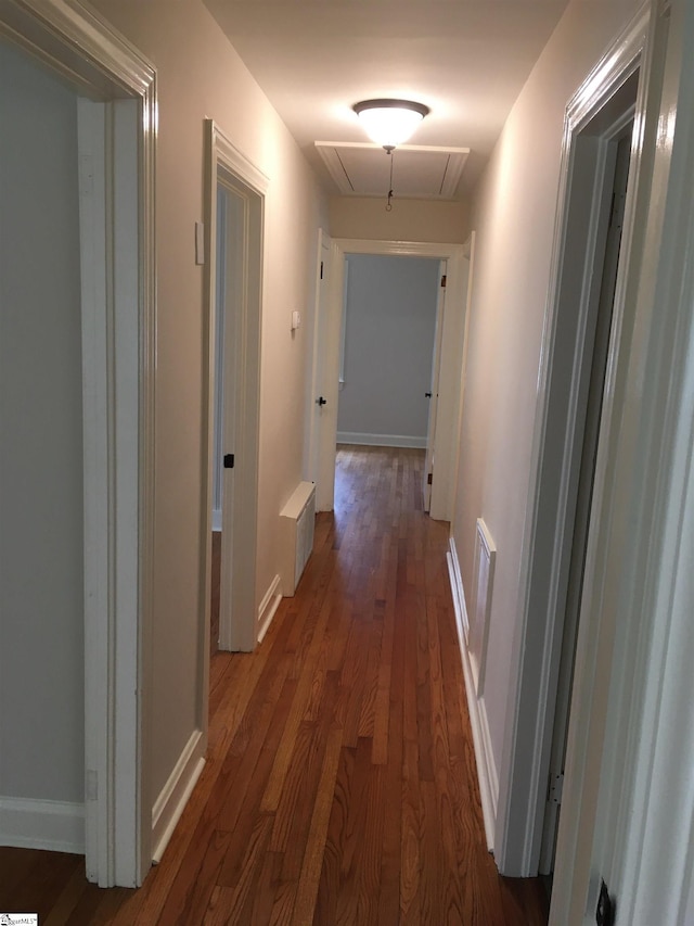 hallway featuring dark wood-type flooring