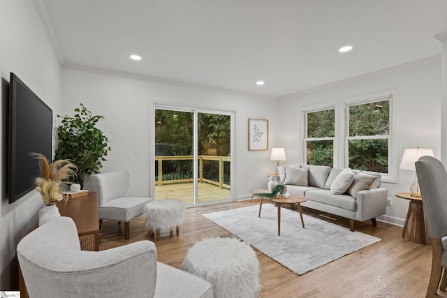 living room with plenty of natural light, light hardwood / wood-style floors, and crown molding