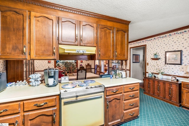 kitchen featuring a textured ceiling and stainless steel range with electric stovetop