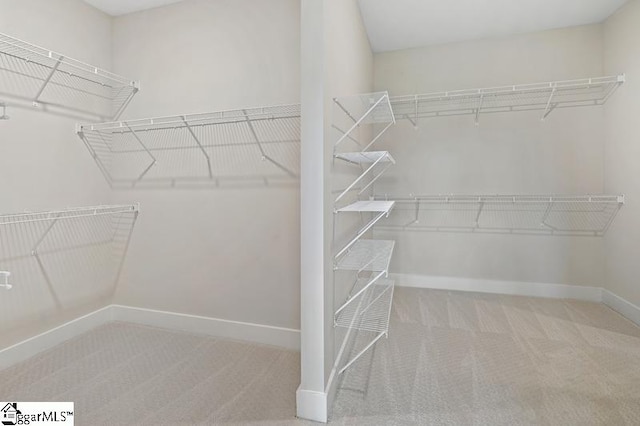 spacious closet with carpet