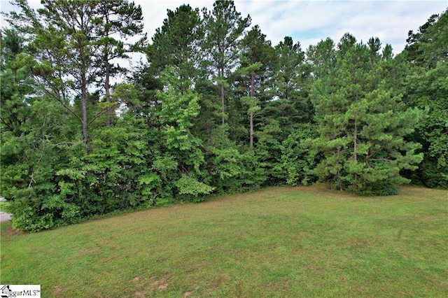 Listing photo 3 for 000 Moorefield Memorial Hwy, Pickens SC 29671