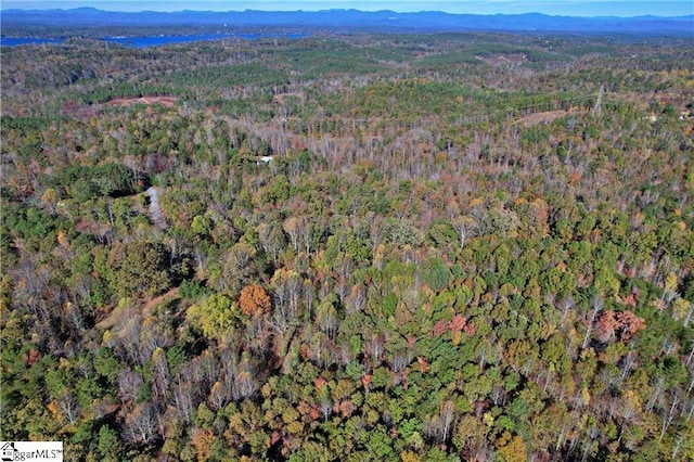 Listing photo 2 for 0 Dan Ross Rd Lot 6, Six Mile SC 29682