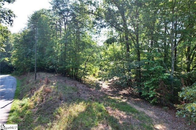 Listing photo 3 for 0 Dan Ross Rd Lot 6, Six Mile SC 29682