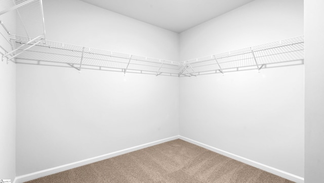 305 Lodestone Rd Lot 0267, Simpsonville, SC 29680 - spacious closet featuring carpet floors